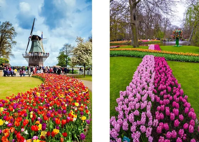 Σαλέ Golden House - Near The